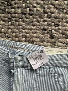 American Eagle Outfitters Light Blue Pinstripe Wide Leg Jeans